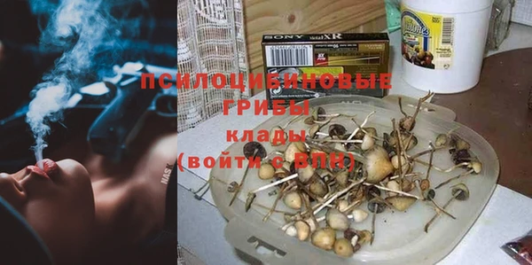 Альфа ПВП Абаза
