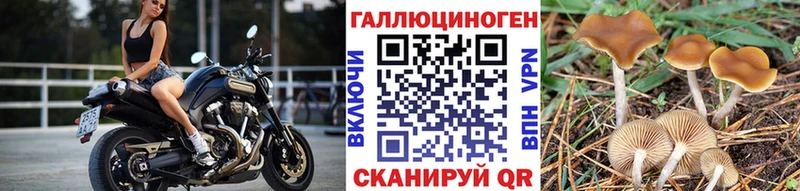 Галлюциногенные грибы GOLDEN TEACHER  Кяхта 
